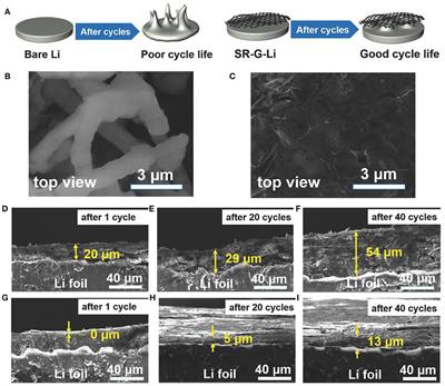 Pre-treatments of Lithium Foil Surface for Improving the Cycling Life of Li Metal Batteries